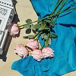 Perla Apartment Zadar