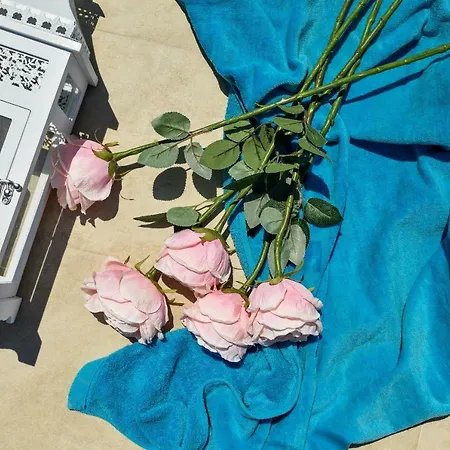 Perla דירה זאדאר