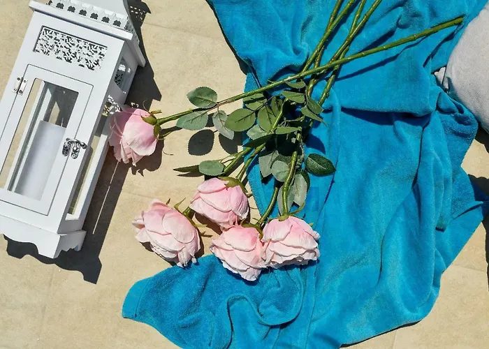 Perla 公寓 扎达尔